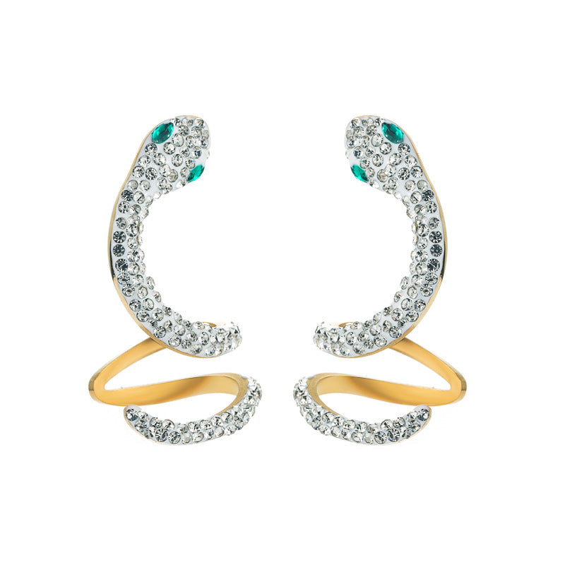 Trendy Titanium Steel Hoop Earrings - Free Delivery