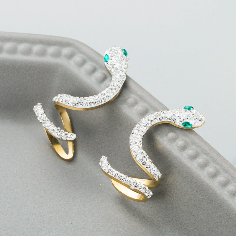 Trendy Titanium Steel Hoop Earrings - Free Delivery